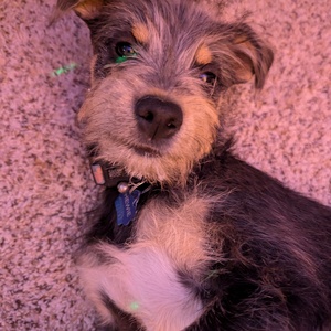 Fundraising Page: Stephanie Allen